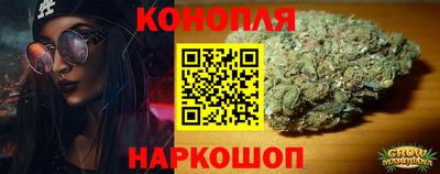 индика Гусь-Хрустальный