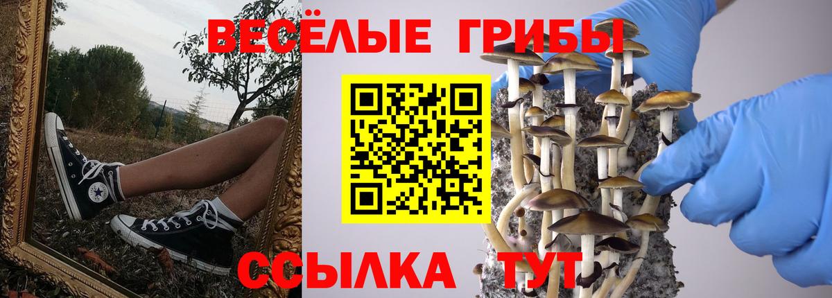 Псилоцибиновые грибы ЛСД Малгобек